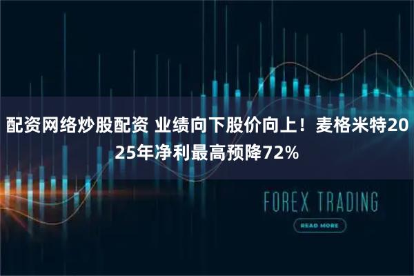 配资网络炒股配资 业绩向下股价向上！麦格米特2025年净利最高预降72%