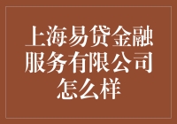 上海易贷金融服务有限公司的综合评估